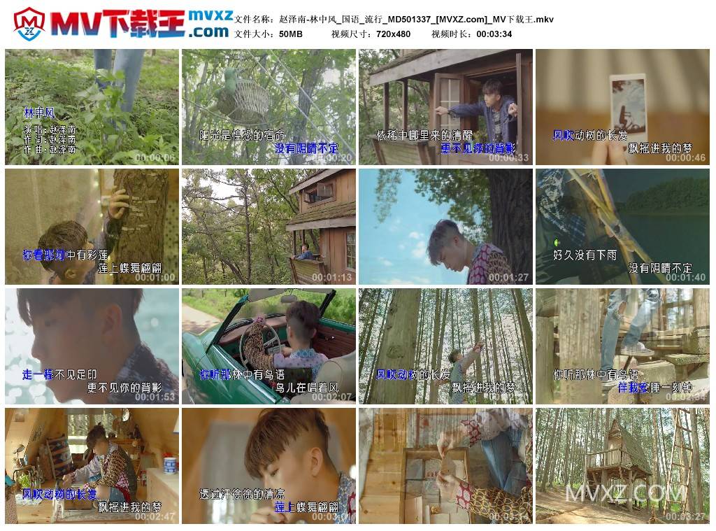 赵泽南-林中风_国语_流行_MD501337